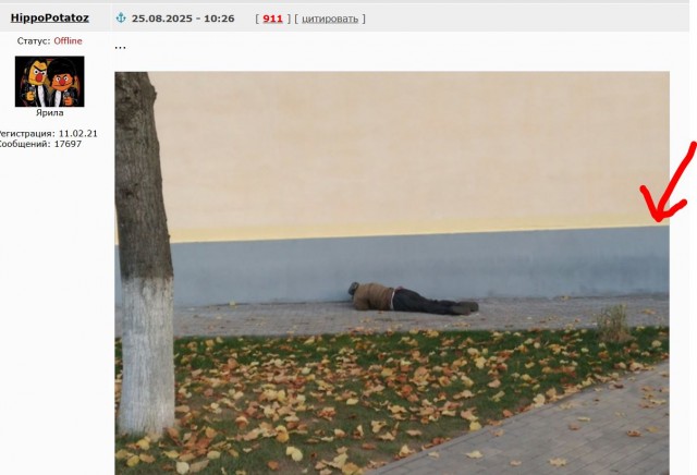 Одна девочка не любила молочную пенку...