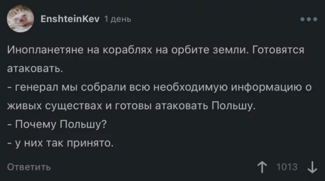 Тема «российских» дронов продолжает будоражить польских пользователей соцсетей