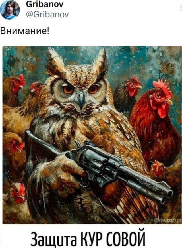 Сова оказывается ещё и защитник слабых :)