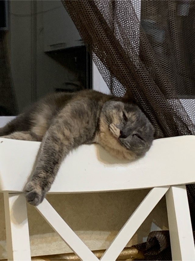 Вот такое оно - одиночество