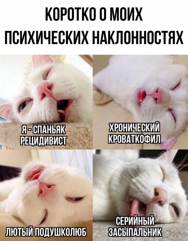Ассорти картинок