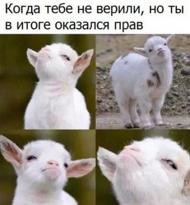 Антиваксеры, ликуйте, — вы были правы