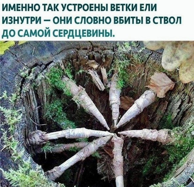Куча мала 15, последняя