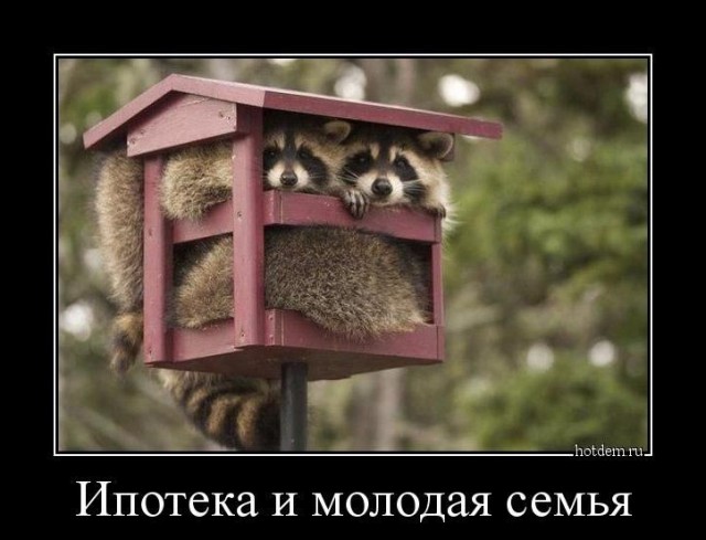 77% россиян считают, что ипотеку должны платить оба партнёра