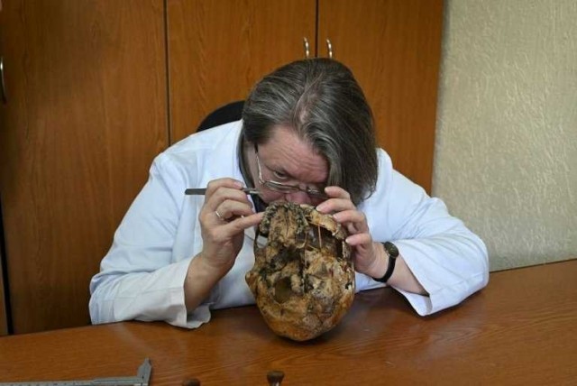 Российские ученые нашли на 1800-летнем черепе следы удаления зуба мудрости
