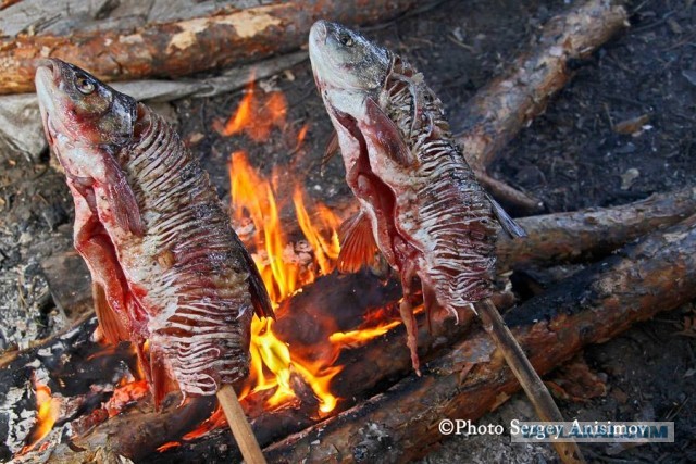 Красота! Лето на Ямале. Фото