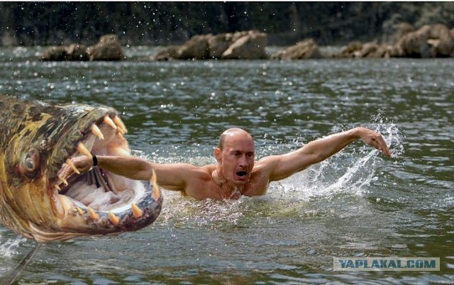 Путин и рыба