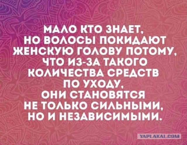 Забавные картинки, шутки из этих ваших интернетов