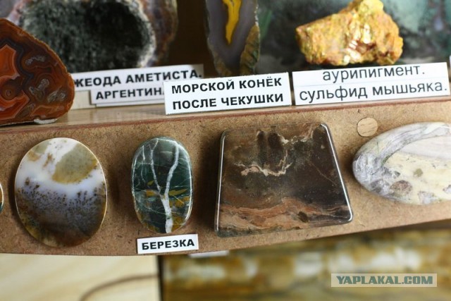 Музей шедевров природы