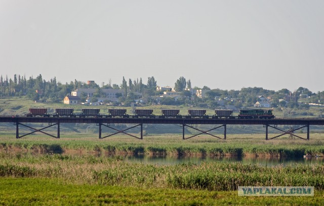 Победители фотоконкурса