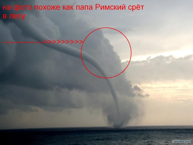 А на кого похож?