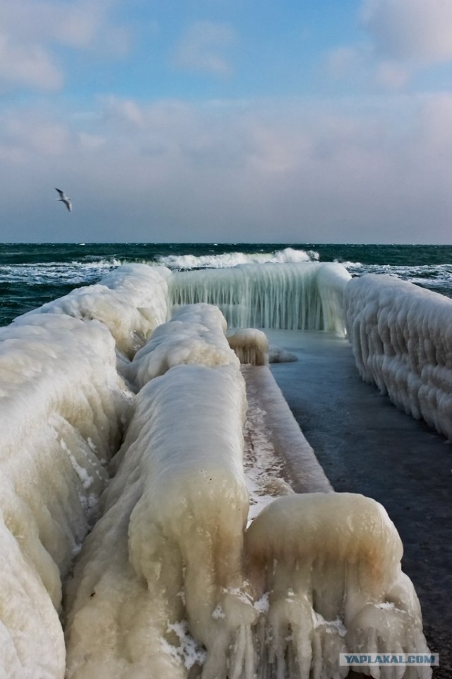 Пляж в ледяной глазури