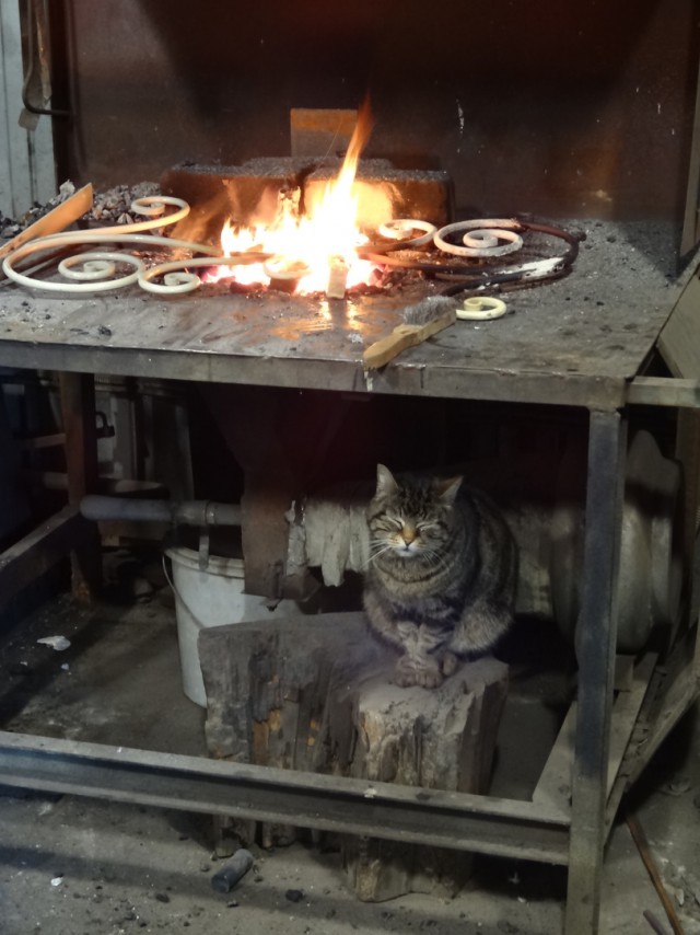 Моя кошка в День Кошки в моей кузнице