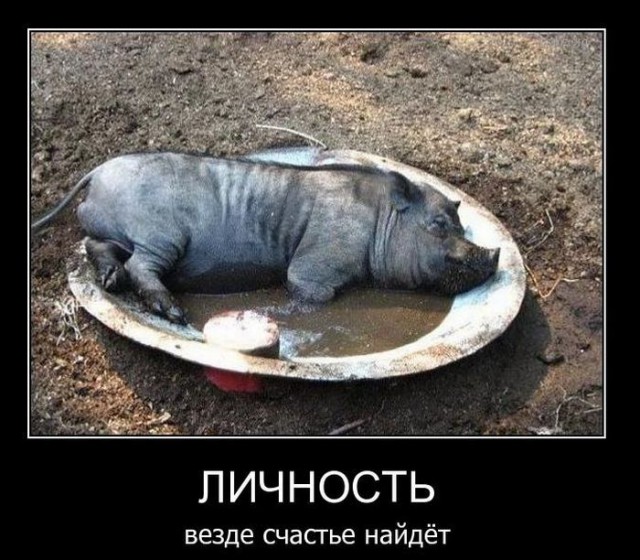 Картинок пачка