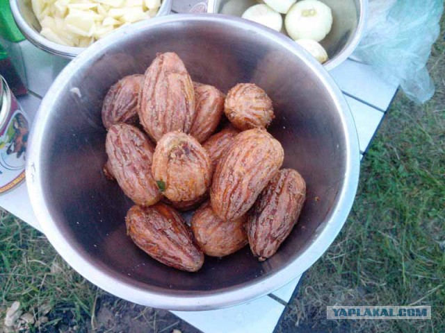 Кулинарный туризм.