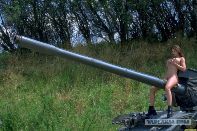Wargaming 24