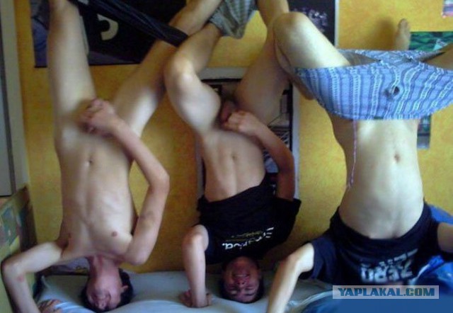 Ужасы и приколы из соцсетей 18+