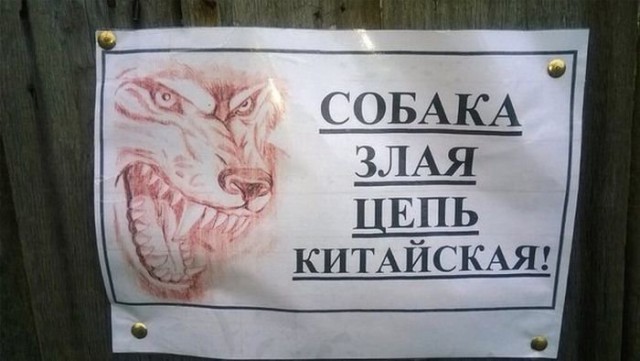Картинки из инета