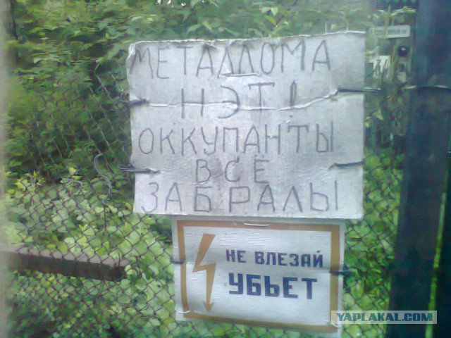 Интересные и смешные фото