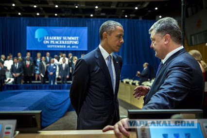 Сетевое народное торчество.