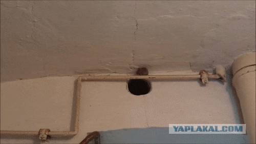 Неожиданная встреча
