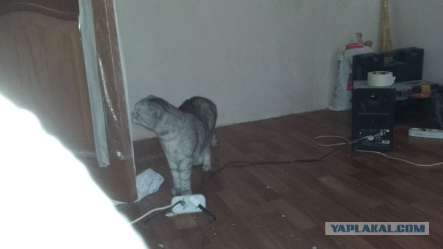 Мой первый недельный ремонт в спальне в хрущевке