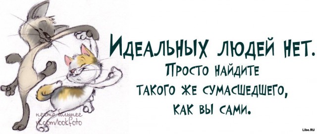 Хорошая жена (18+ мат)