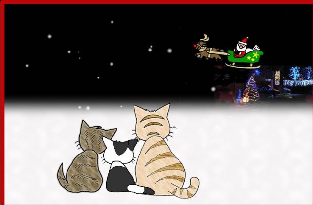 Three Cats Christmas Escape