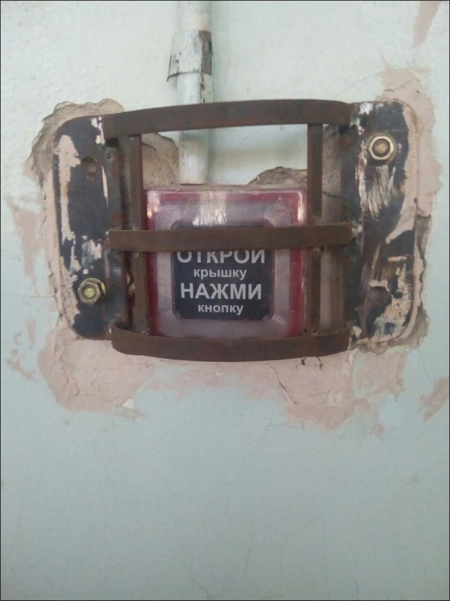 Порция картинок из сети