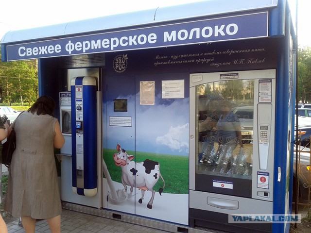 Куда делись молоковозы?