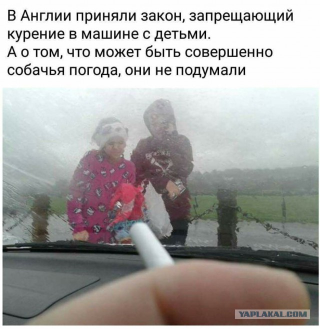 Картинки всяко-разные
