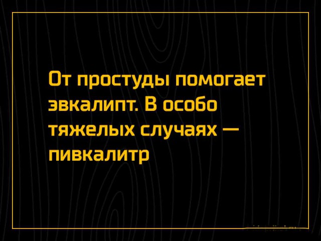 Звезды фильма «Особенности национальной рыбалки» тогда и сейчас