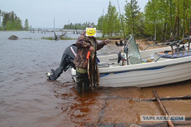 Беседка ФиС ЯПа