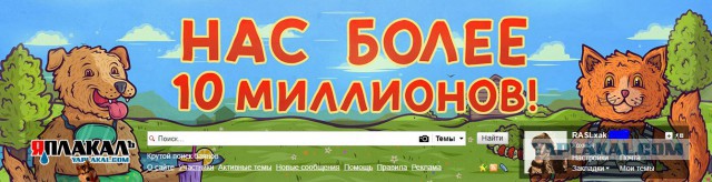 ЦОДД наехал на ЯП