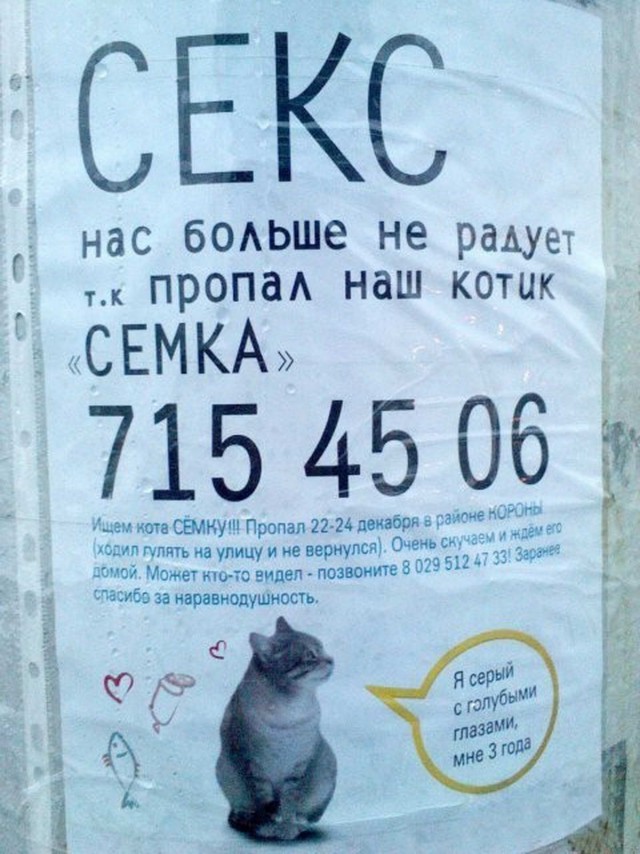 Юмор для многоклеточных. Дурацкие картинки (но это не точно).