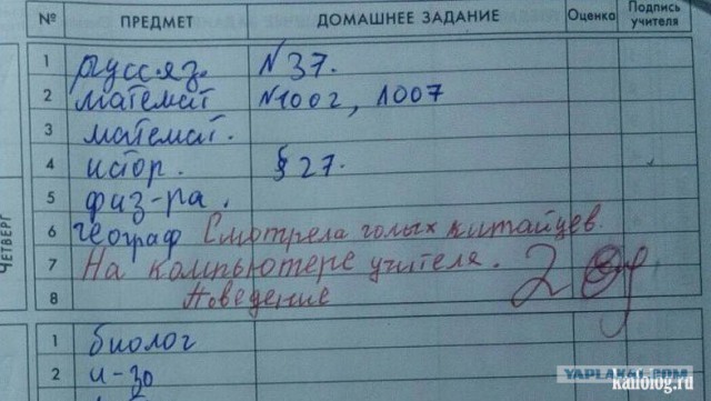 Подборка интересных и веселых картинок