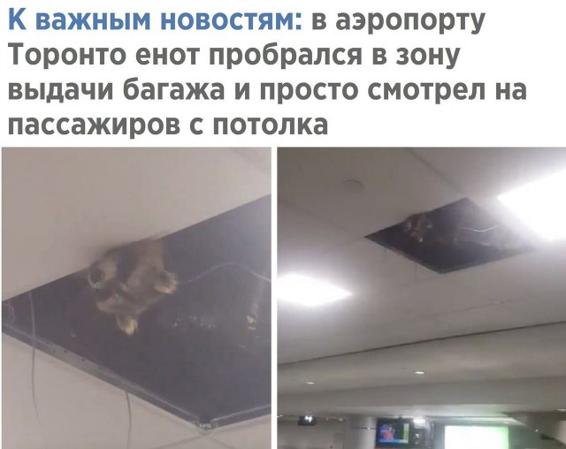 Порция картинок на субботу
