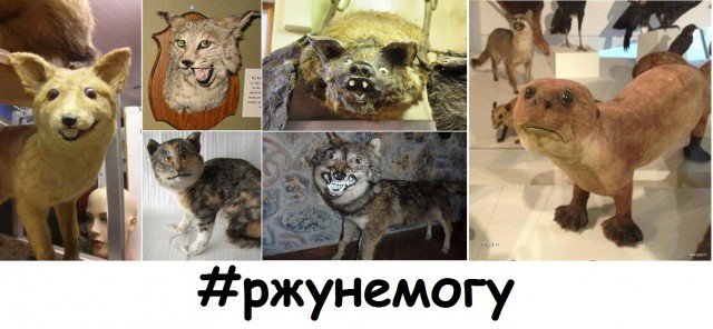 Абсурд, треш и прочие непотребства.