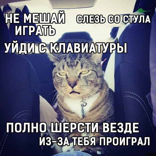 ПоСРЕДственная подборка