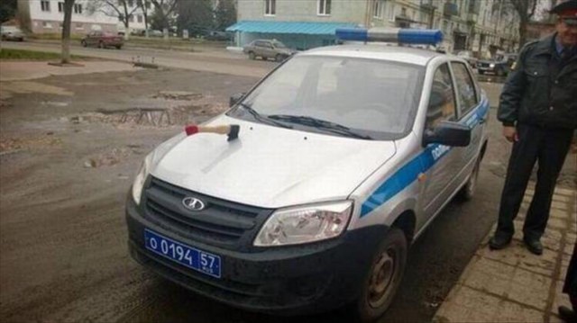 38 интересных и веселых картинок