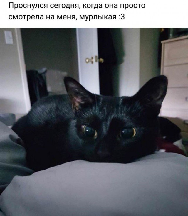 Немного милоты
