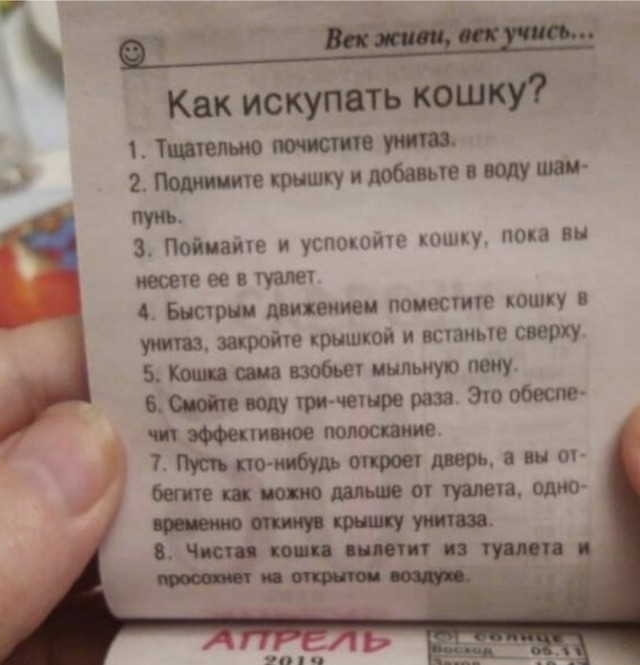 Картинок слегка)