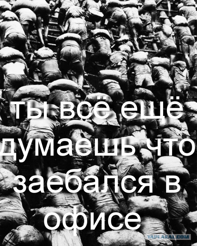 Ад на земле - одна из крупнейших шахт в мире по добыче золота Серра Пелада