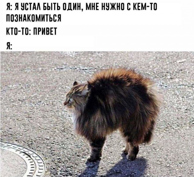 Немного картинок для настроения