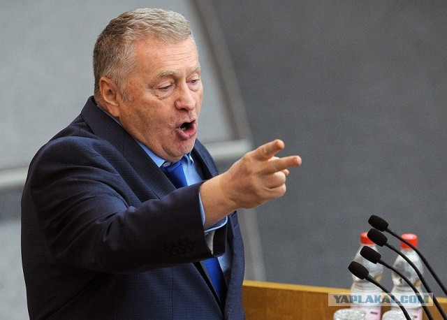 Рыжий тихо подошёл, сосиску слямзил и ушел