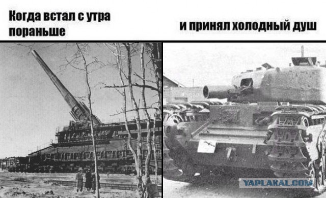 Картинки с надписями, истории и анекдоты 02.11.19