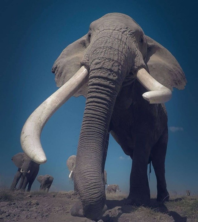 Чуток картинок не про вирус 11.0