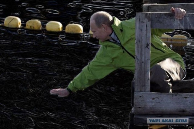 Путин и обитатели морских глубин