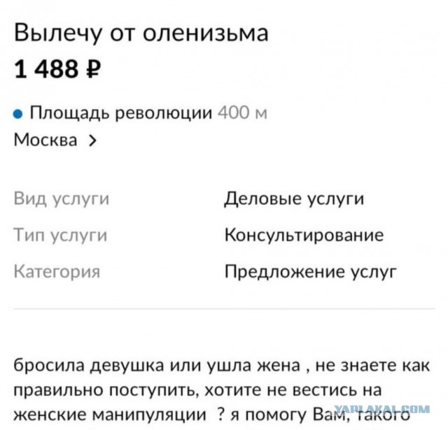 Немного картинок для настроения 31.10.20