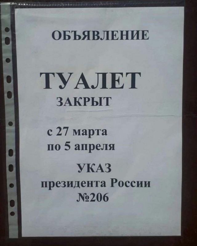 Баянисто-небаянистый юмор 15.11.20